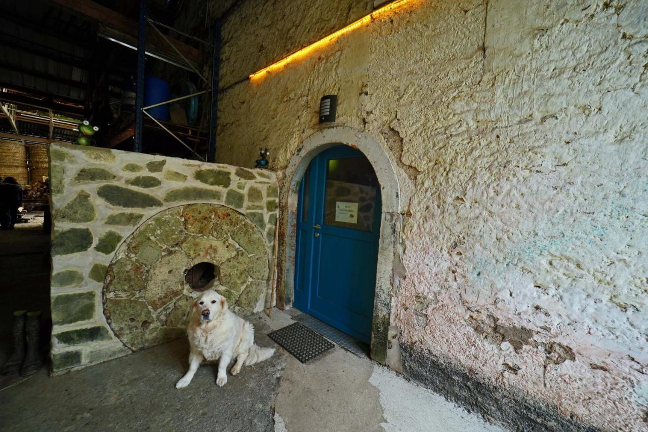 Room In Farmhouse Berkel Bockholtz Экстерьер фото